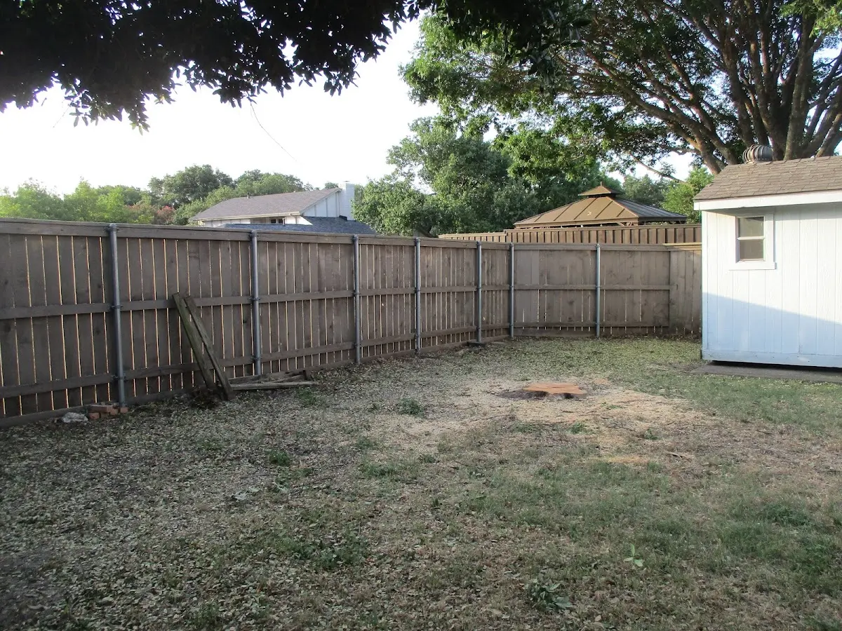 Cleared yard after professional tree removal in Parkesburg